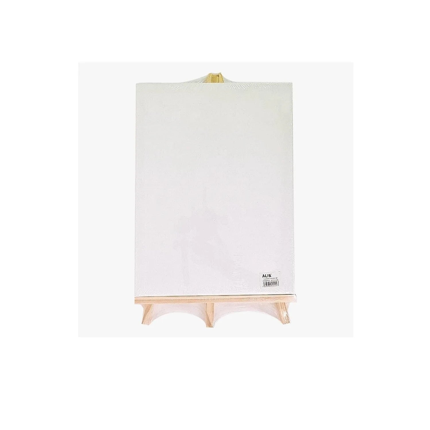 LIENZO CON CABALLETE 30X50 - 3