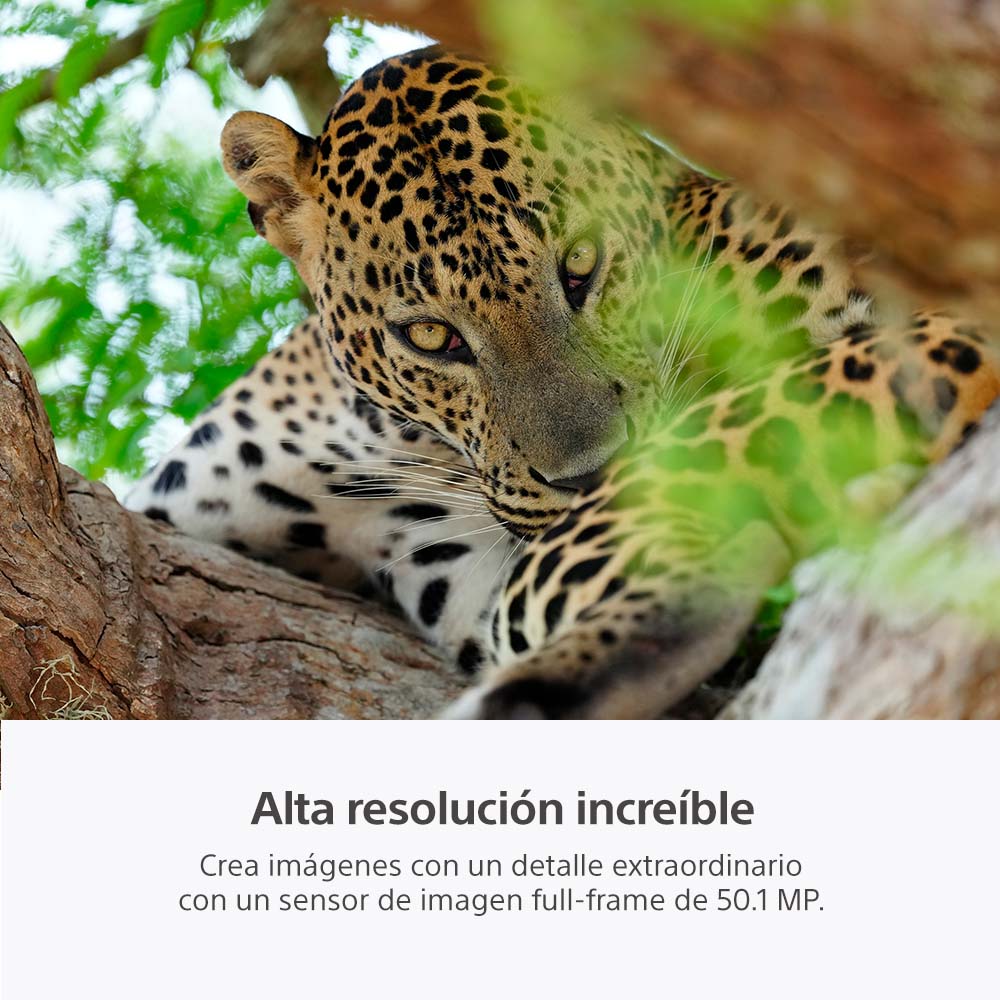 SONY CÁMARA ILCE-1M2 FULL FRAME MIRRORLESS NEGRO - 6