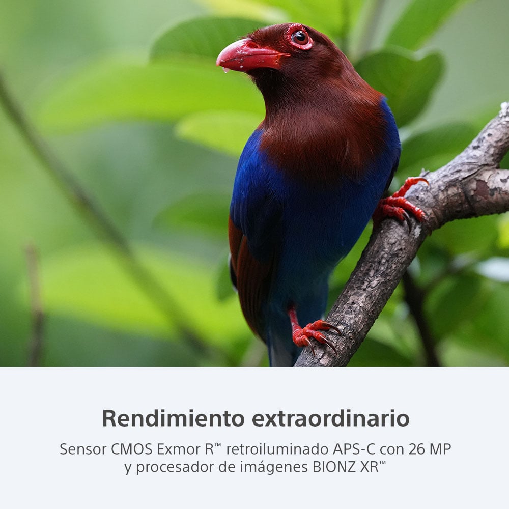 SONY ALPHA CÁMARA PROFESIONAL ILCE-6700K - 2