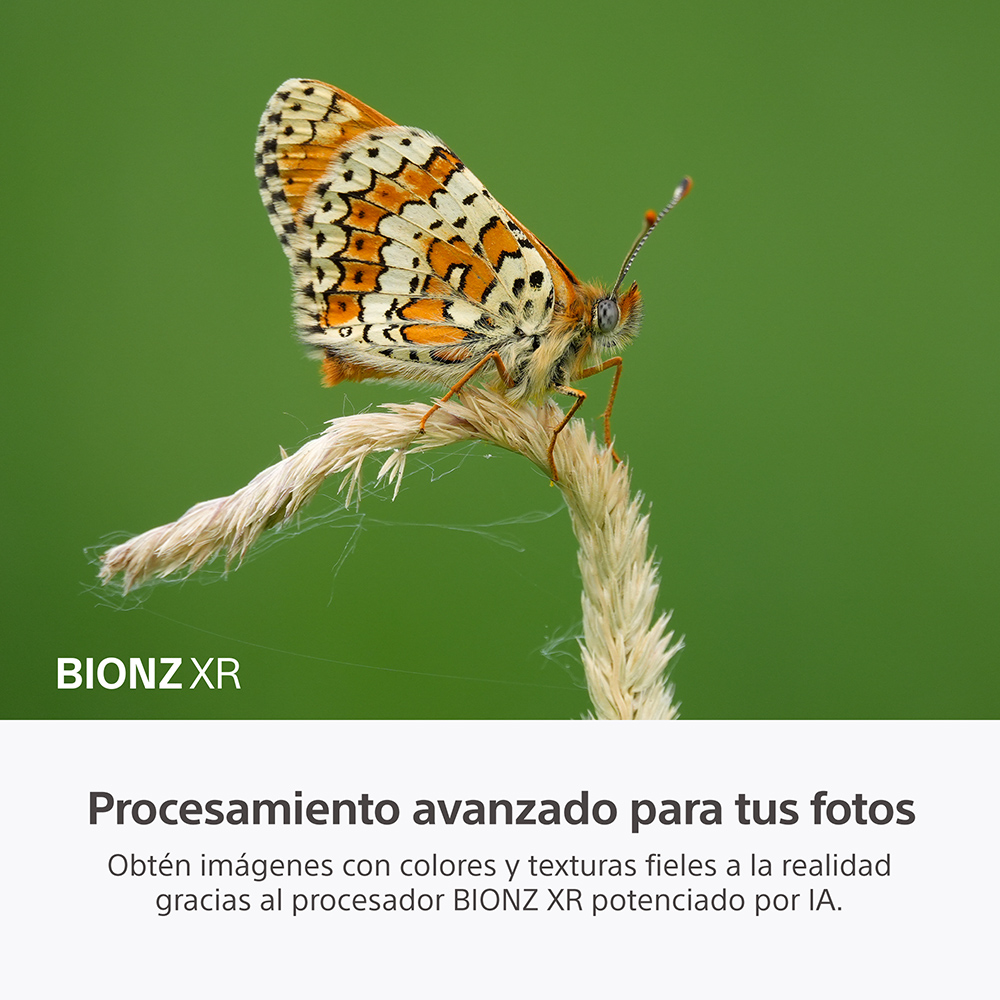 SONY CAMARA COMPACTA DSC-RX10M5 CON LENTE FIJO 24-600MM - 9