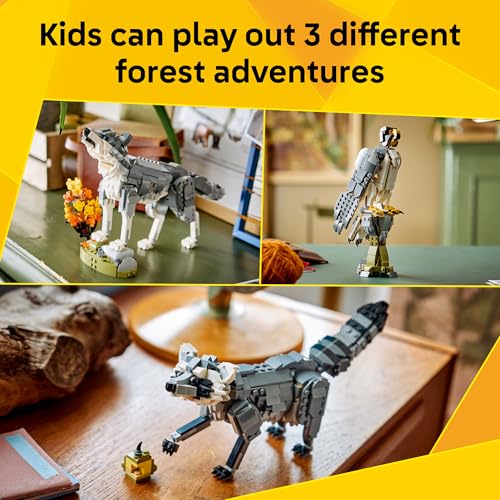 LEGO TBD CREATOR 31393 - 3