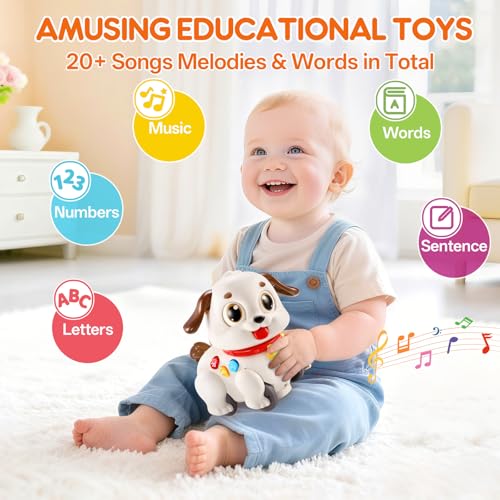 LUDILO JUGUETES EDUCATIVOS PARA NIÑOS DE 1 AÑO REGALOS PARA NIÑOS Y NIÑAS JUGUETE MUSICAL DE CACHORRO PARA ARRASTRAR Y GATEAR - 2