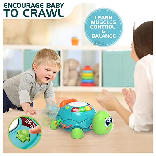 JYUSMILE JUGUETES PARA BEBÉS DE 6 A 12 MESES JUGUETES MUSICALES DE TORTUGAS QUE GATEAN PARA BEBÉS JUGUETE EDUCATIVO - 2