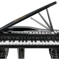 WINFUN JUEGO DE PIANO DE COLA SINFÓNICO PARA NIÑOS A PARTIR DE 37 AÑOS 37 TECLAS 15 CANCIONES DE DEMOSTRACIÓN 8 INSTRUMENTOS - 1