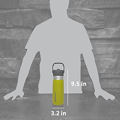 STANLEY ICEFLOW BOTELLA DE AGUA CON POPOTE ABATIBLE DE 22 ONZAS POPOTE INTEGRADO PARA VIAJES Y DEPORTES LIGERA Y RESISTENTE - 4
