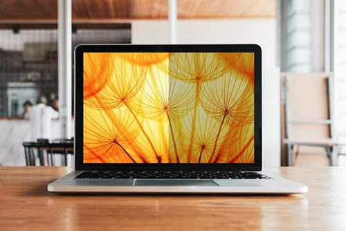 3M FILTRO DE PRIVACIDAD DE PANTALLA BRILLANTE PARA LAPTOP DE 156 PULGADAS 169 BP156W9B - 6
