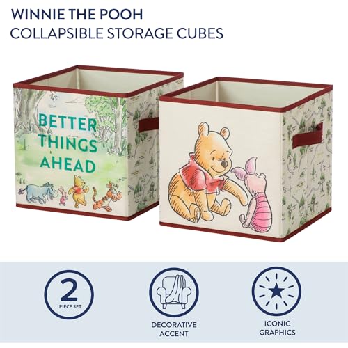 DISNEY WINNIE THE POOH CUBOS DE ALMACENAMIENTO DE TELA JUEGO DE 2 CONTENEDORES DURADEROS CON ASAS 10X10X10 ORGANIZADORES - 2