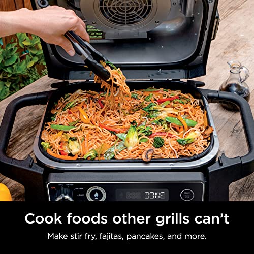 NINJA XSKGRDPLT WOODFIRE PLACA DE PARRILLA PLANA PARA EXTERIORES COMPATIBLE CON PARRILLAS NINJA - 3