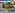 LEGO CITY JUNGLE EXPLORERS JUNGLE STARTER SET 60157 KIT DE CONSTRUCCIÓN 88 PIEZAS - 2