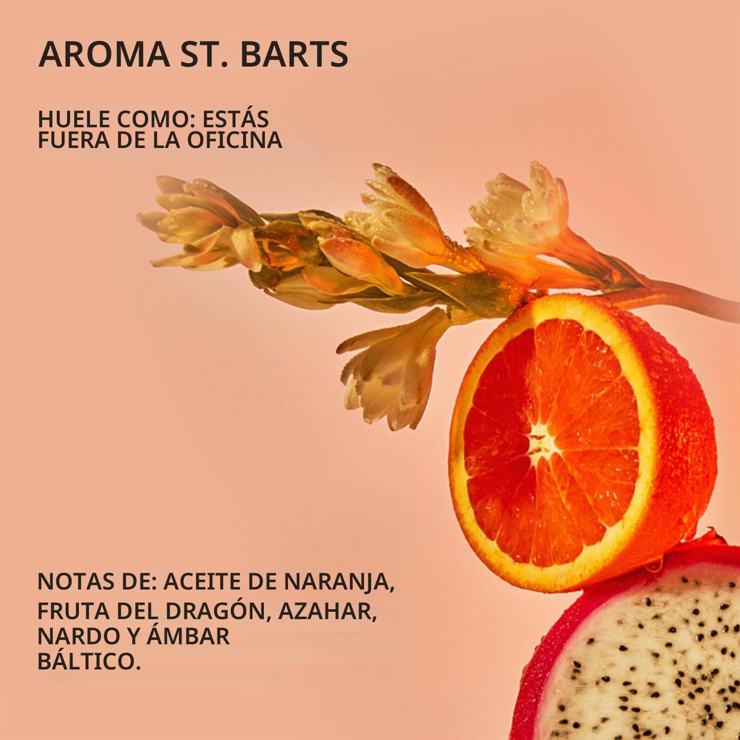 OUAI LIMPIADOR CORPORAL - GEL DE BAÑO ESPUMOSO - ST. BARTS 10 ONZAS LÍQUIDAS - 5