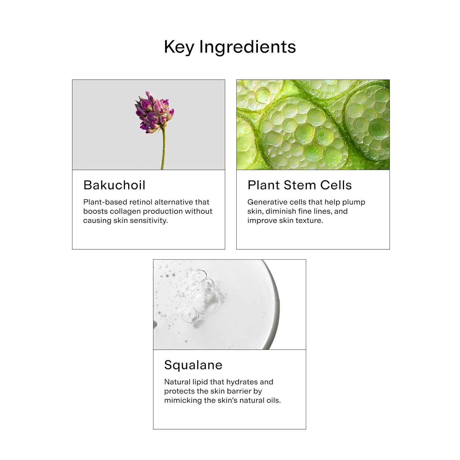 CLEARSTEM - HYDRAGLOW CREMA HIDRATANTE DE CÉLULAS MADRE - BAKUCHIOL ESCUALENO - HIDRATANTE FACIAL DE PIEL JUVENIL - TODO - 7