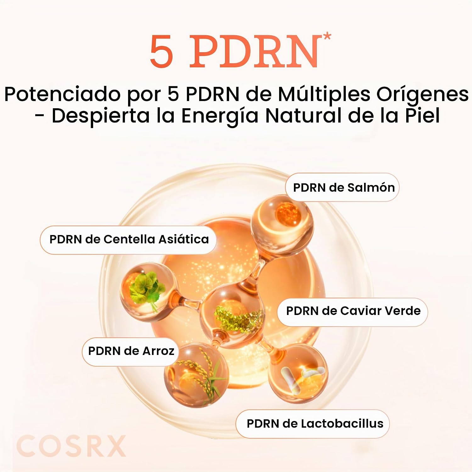 COSRX 5 PDRN COLLAGEN INTENSE VITALIZING SÉRUM FACIAL CONCENTRADO - SUERO COREANO PARA REAFIRMAR Y DAR BRILLO A LA PIEL - 5