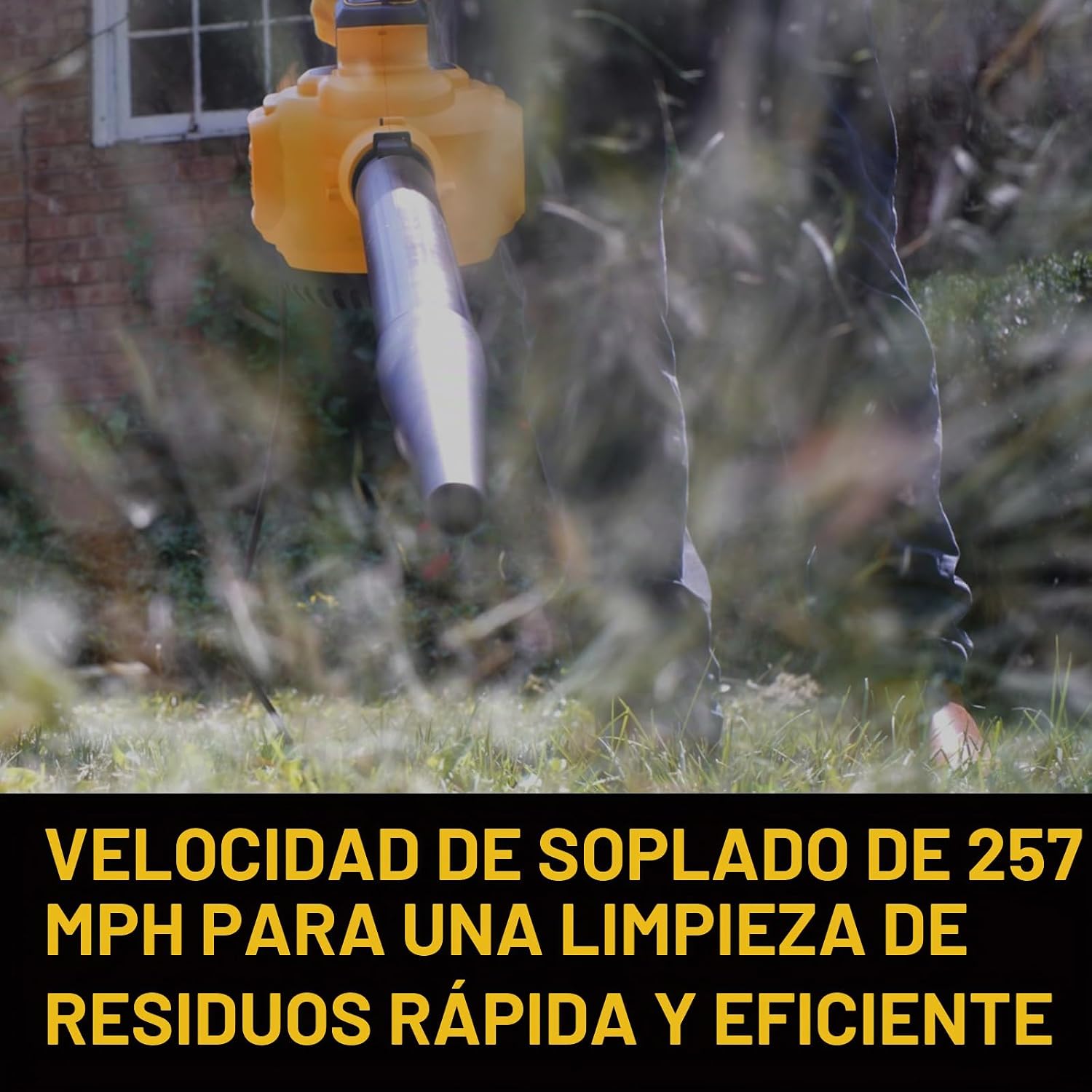 DEWALT ASPIRADORA DE TALLER HÚMEDA Y SECA CON SOPLADOR DE HOJAS DESMONTABLE, ASPIRADORA DE TALLER HÚMEDA Y SECA DE 12 - 6