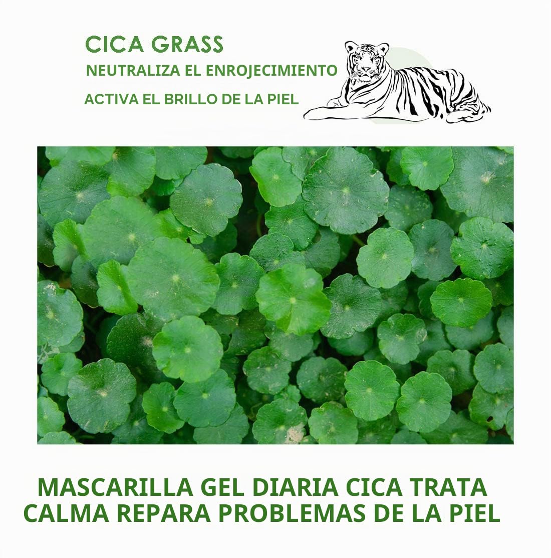 WELLDERMA MASCARILLA DE HIDROGEL DE TRATAMIENTO DE CICA PREMIUM, 0.88 OZ X 4 HOJAS, MASCARILLA DE HIDROGEL CALMANTE E - 3