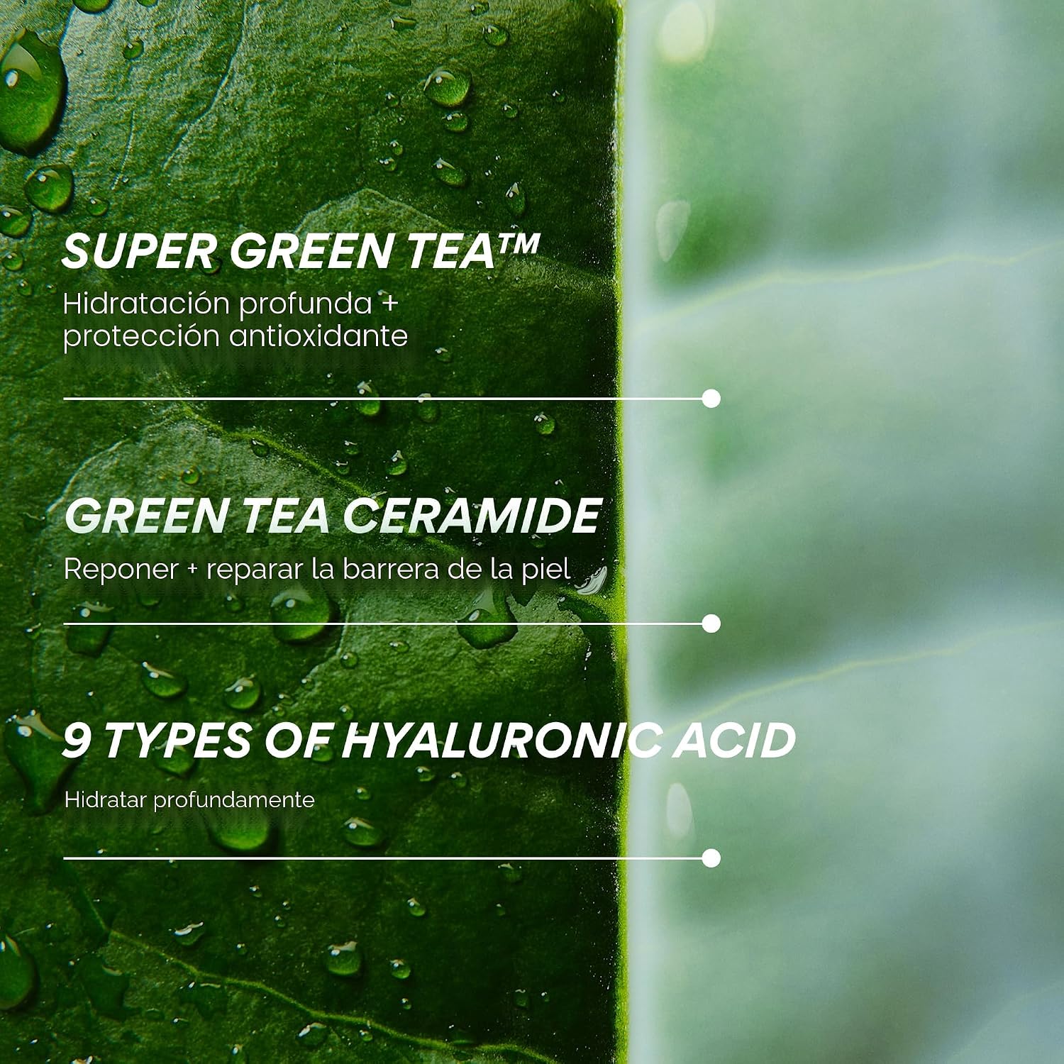INNISFREE GREEN TEA CERAMIDE MILK HIDRATANTE FACIAL Y LIGHTWEIGHT KOREAN MILKY TÓNICO FACIAL PARA BARRIER REPAIR SUITABLE - 7