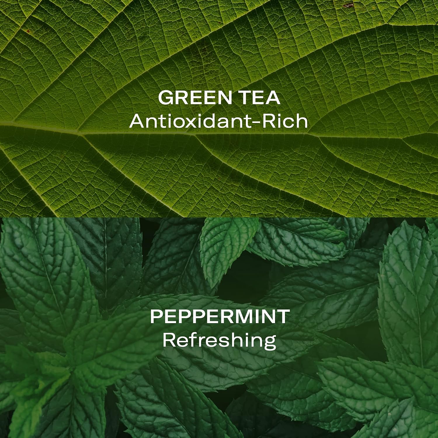 TRATAMIENTO HIDRA-PURIFICANTE MENTA TÉ VERDE ROCIADOR - 4