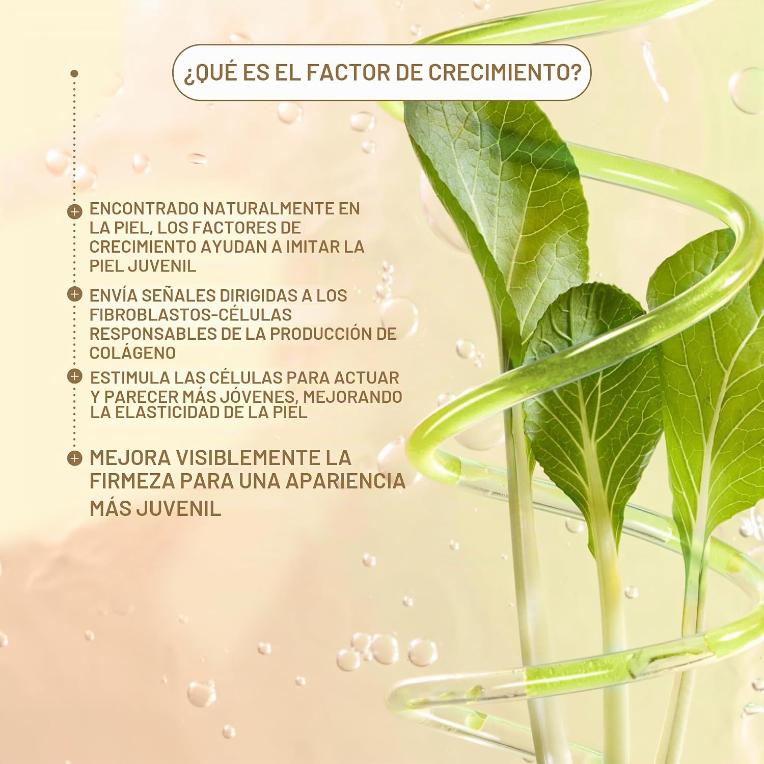 BIOSSANCE - CREMA ANTIENVEJECIMIENTO CON FACTOR DE CRECIMIENTO DE ESCUALANO Y COLÁGENO VEGANO - 1.7 FL OZ - 6