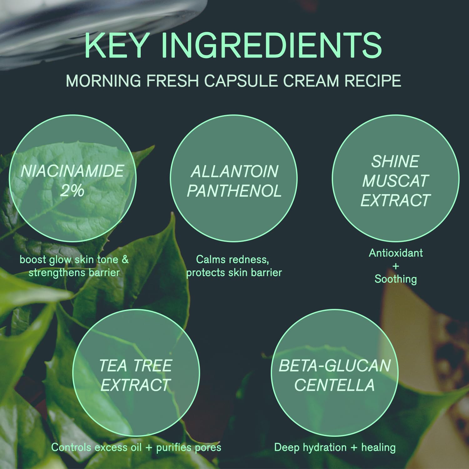 URBANAND CREMA DE CÁPSULAS MORNING FRESH, CUIDADO DE LA PIEL VEGANO, HIDRATANTE FACIAL PARA RESPLANDOR DE LA PIEL, GEL - 3