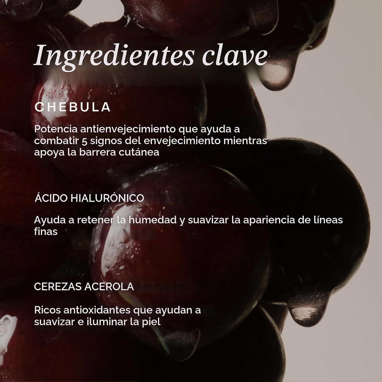 TRUE BOTANICALS CHEBULA EXTREME CREMA HIDRATANTE ANTIENVEJECIMIENTO CON ÁCIDO HIALURÓNICO TRATA LÍNEAS FINAS Y ARRUGAS PIEL - 5