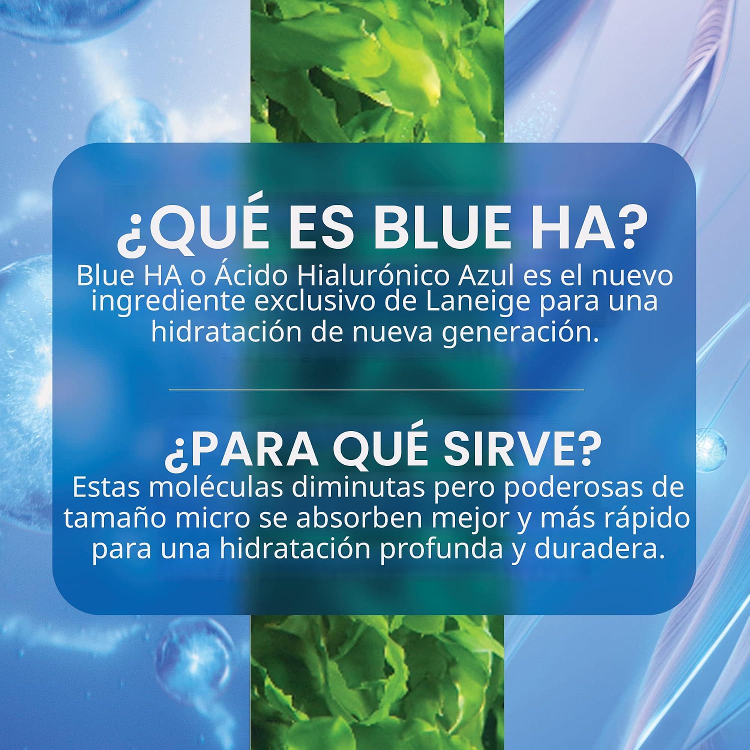 LANEIGE SUERO HIALURÓNICO AZUL DEL BANCO DE AGUA: PÉPTIDOS, ENZIMA DEL TÉ VERDE, HIDRATA, MEJORA LA FIRMEZA DE LA PIEL - 5