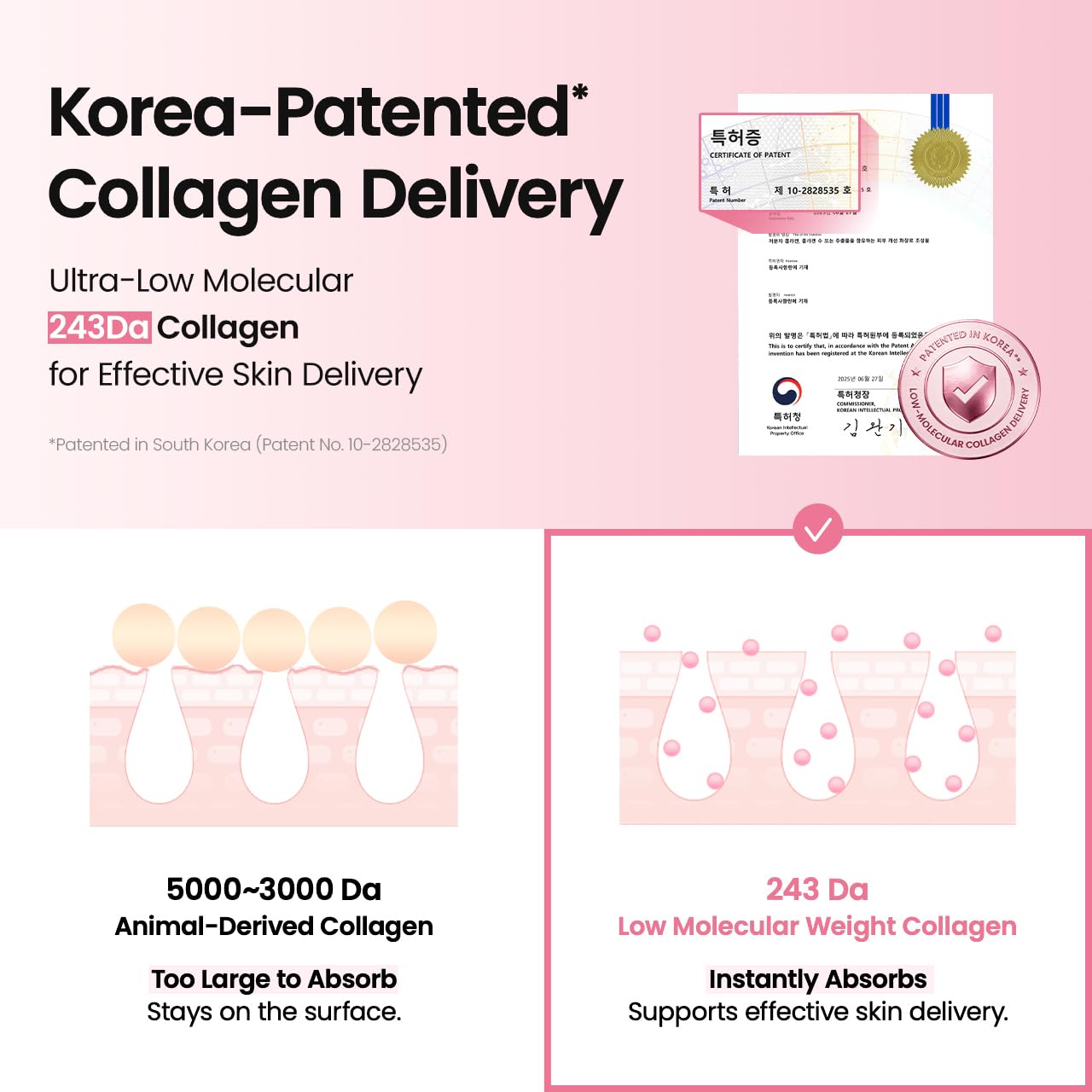 BIODANCE SUERO PÉPTIDO DE COLÁGENO PERFECCIONADOR DE POROS, REAFIRMANTE Y RESPLANDOR DE LA PIEL, REGORDETE, CUIDADO - 6