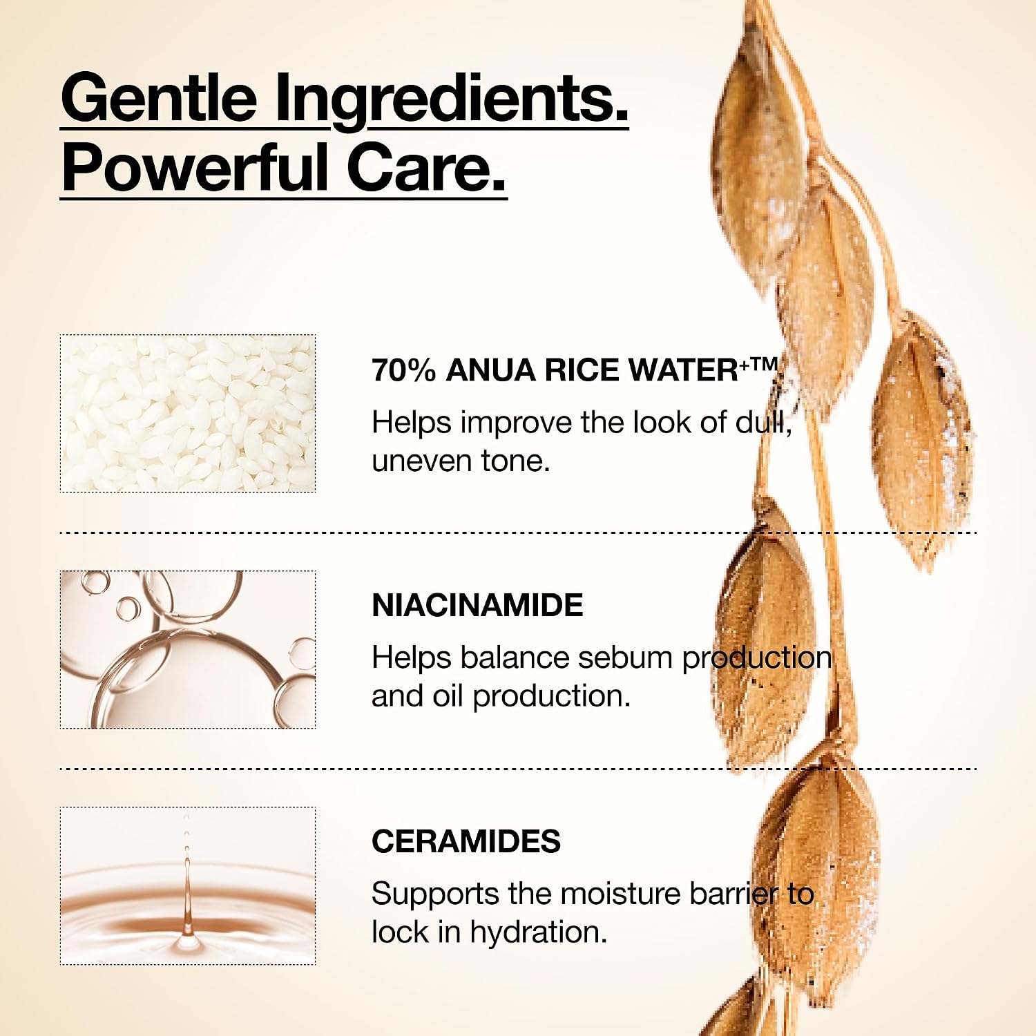 ANUA RICE 70 BRILLO GLOW MILKY TÓNICO FACIAL, PARA PIEL DE VIDRIO, AGUA DE ARROZ, NIACINAMIDA, CERAMIDAS, PANTENOL, SIN - 4