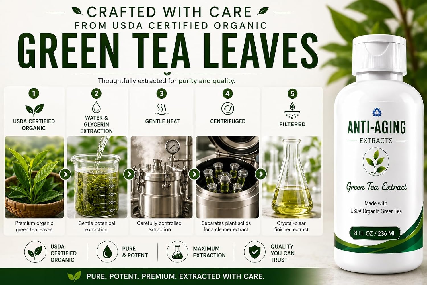 EXTRACTO DE TÉ VERDE PURO PARA PIEL Y CABELLO, ANTIOXIDANTE, POLIFENOL Y EGCG PROCESADO EN FRÍO, SUERO CON HOJAS ORGÁNICAS - 4