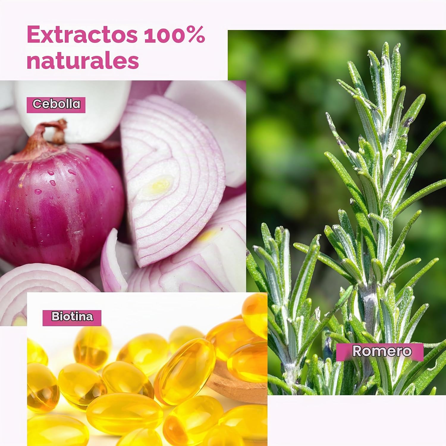 CHAMPĂ DE CEBOLLA Y ROMERO Y BIOTINA, CHAMPĂ PARA EL CRECIMIENTO DEL CABELLO PARA PĂRDIDA Y ADELGAZAMIENTO DEL CABELLO, - 3