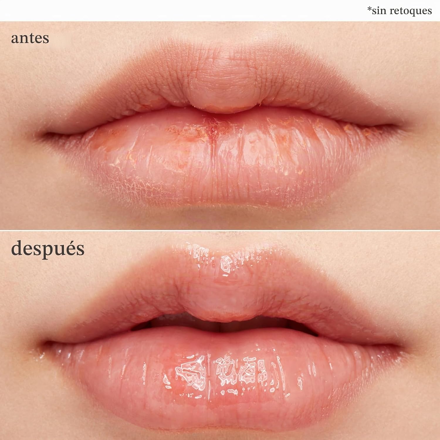 NOONI MASCARILLA VEGANA DE MANTEQUILLA DE MANZANA PARA LABIOS NOCTURNA BÁLSAMO LABIAL HIDRATANTE Y MANTEQUILLA CON MANTECA - 3