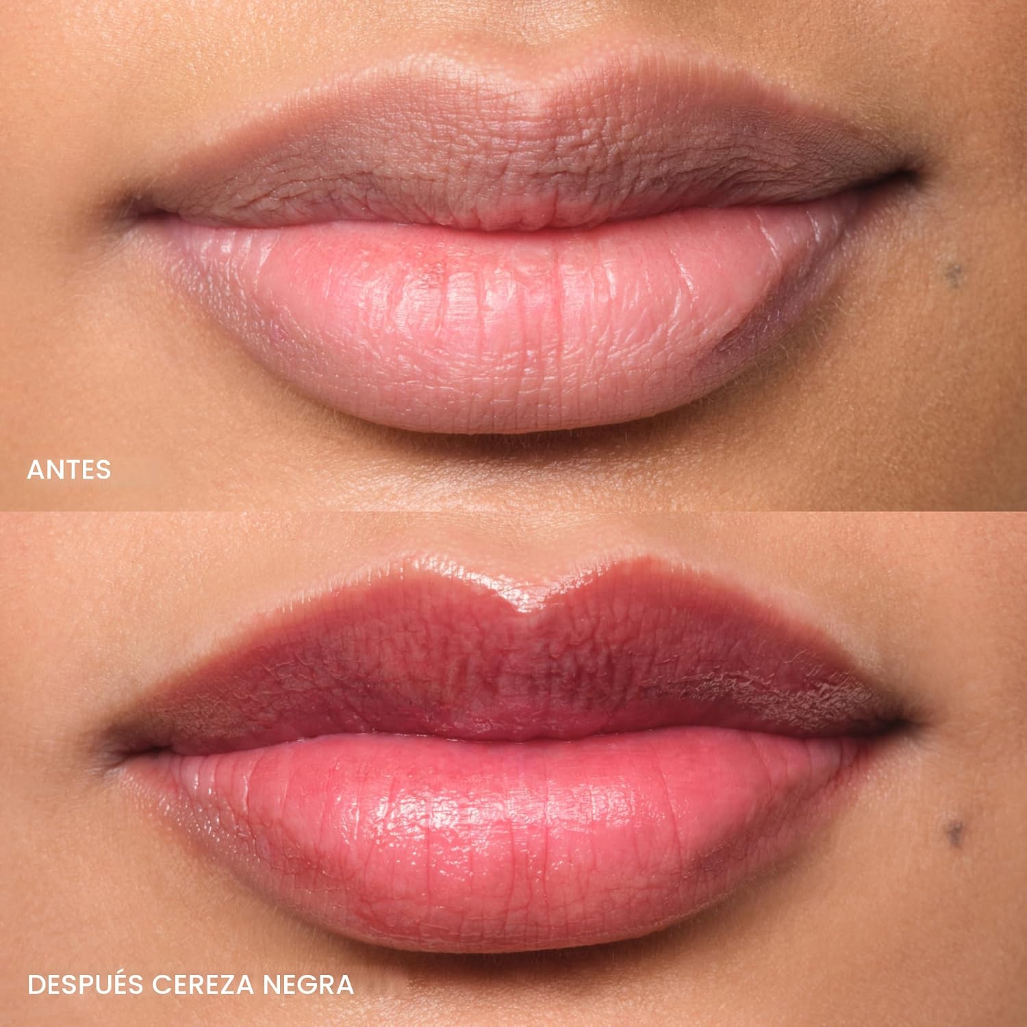 GLOSSIER BALM DOTCOM - BĂLSAMO LABIAL Y BĂLSAMO UNIVERSAL, TINTE NEGRO CEREZA BURDEOS - 5