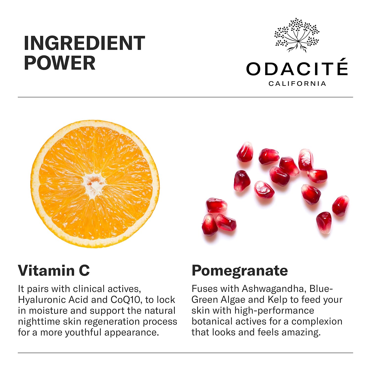 ODACITÉ CREMA DE NOCHE CON VITAMINA C Y ASHWAGANDHA RECETA DE CREMA DE LA NUIT BRILLO GLOW HIDRATANTE FACIAL - 3