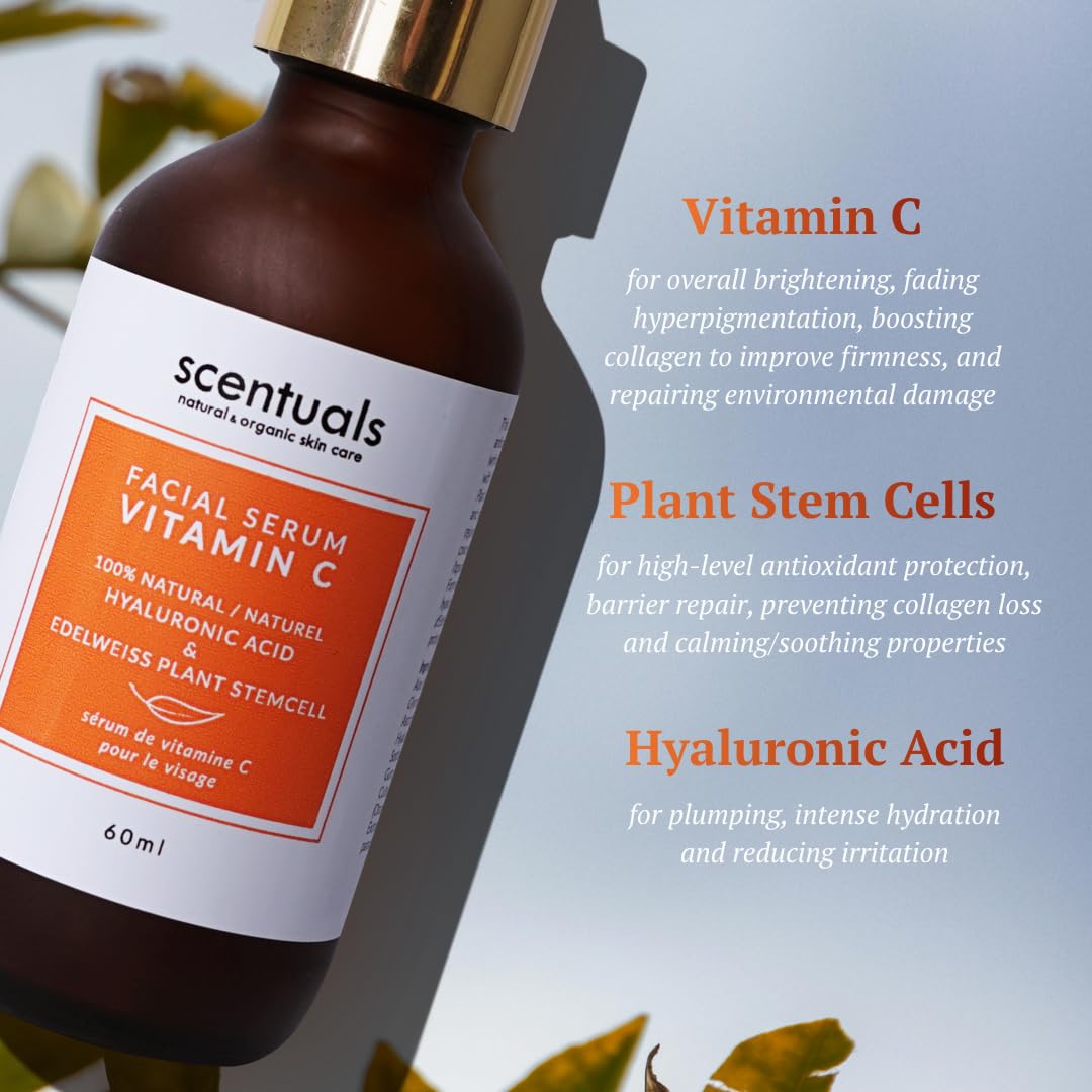 SCENTUALS SUERO DE VITAMINA C PARA CARA, SUERO ILUMINADOR, REDUCE EL ASPECTO DE LÍNEAS FINAS Y ARRUGAS, A BASE DE AGUA 2 - 3