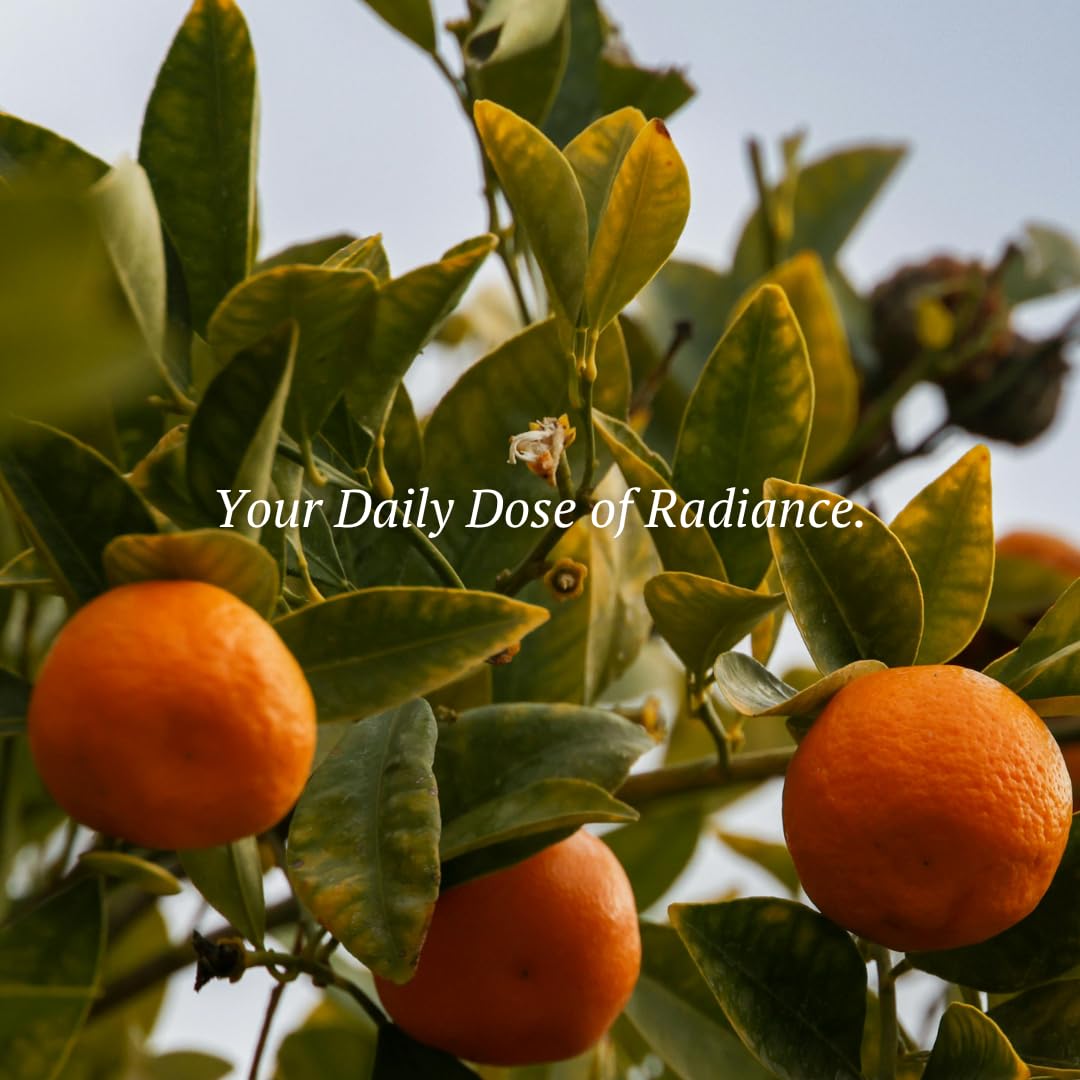 SCENTUALS SUERO DE VITAMINA C PARA CARA, SUERO ILUMINADOR, REDUCE EL ASPECTO DE LÍNEAS FINAS Y ARRUGAS, A BASE DE AGUA 2 - 5