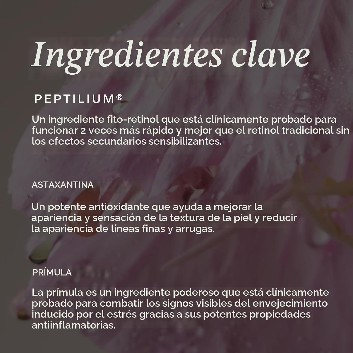 TRUE BOTANICALS PHYTO RETINOL SUERO PARA DORMIR SUERO ANTIENVEJECIMIENTO NOCTURNO ALTERNATIVA AL RETINOL DIRIGE Y REDUCE - 5