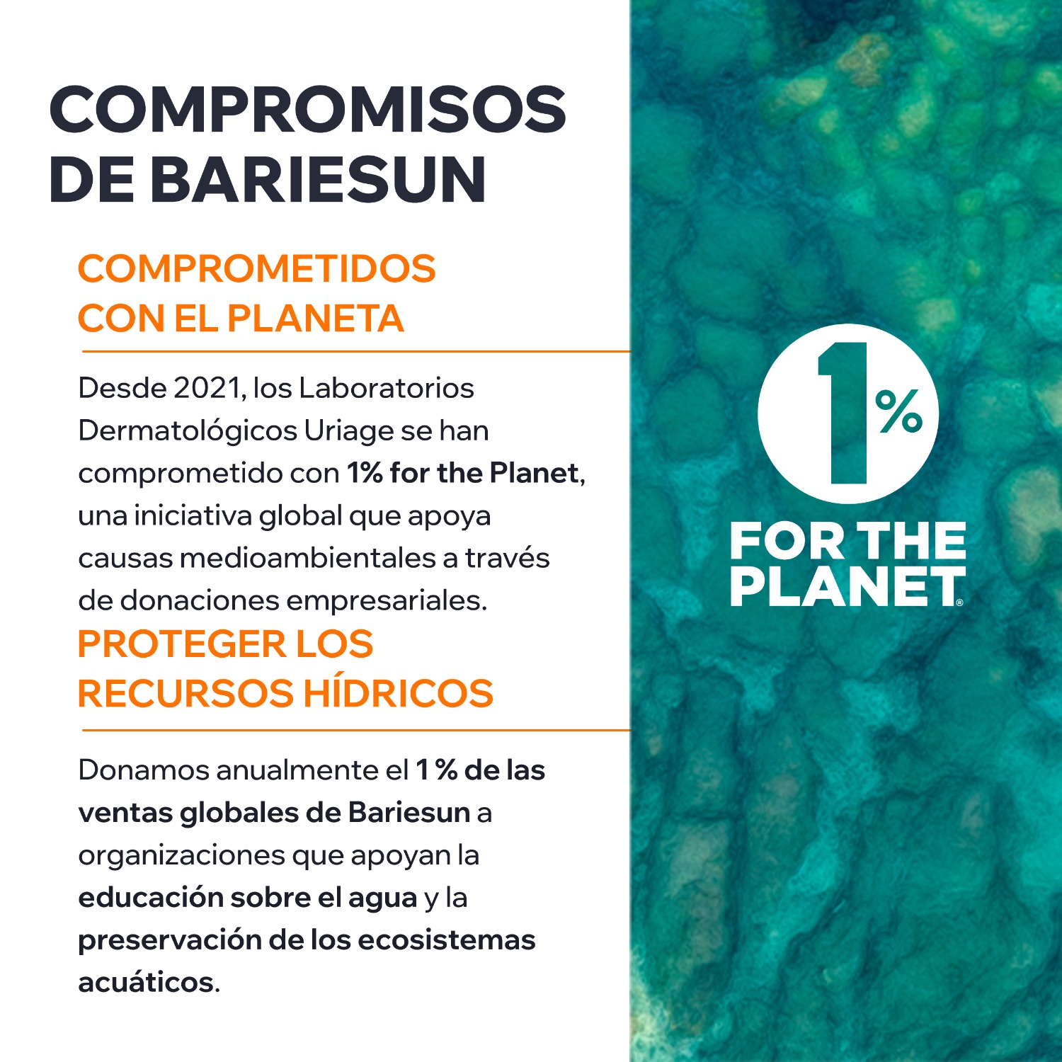 BARIESUN AQUA FLUID ULTRA-MAT SPF50+ - 8