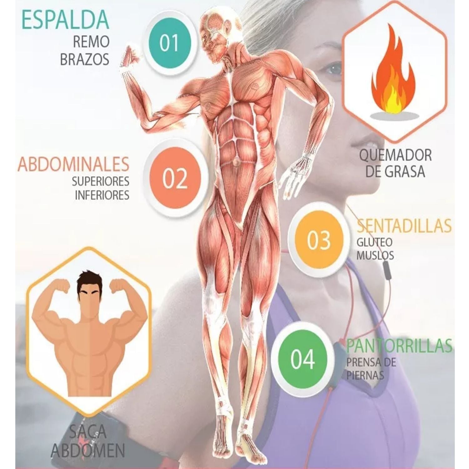 MÁQUINA ABDOMINAL XTREME SPORT POWER CON PISTON HIDRAULICO - 7