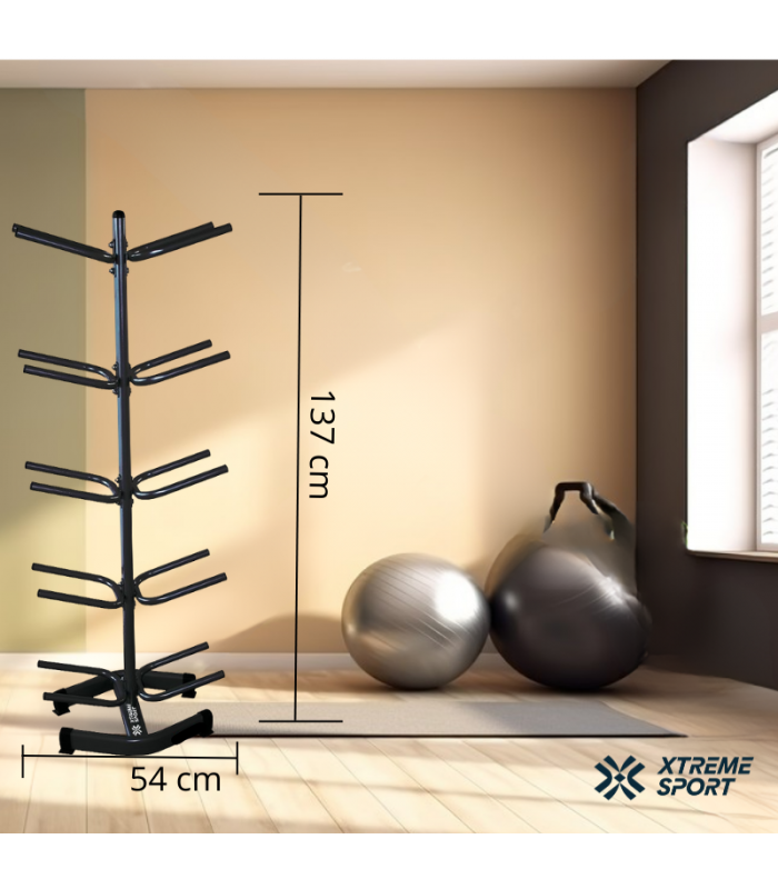 RACK DE PELOTA MEDICINALES 10 - 2