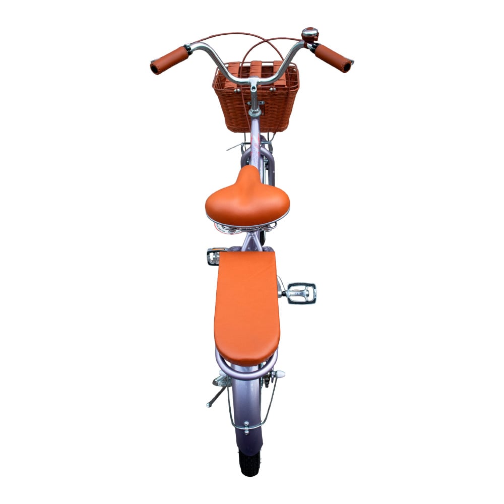 BICICLETA BOX VINTAGE ARO 20 - LILA - 3