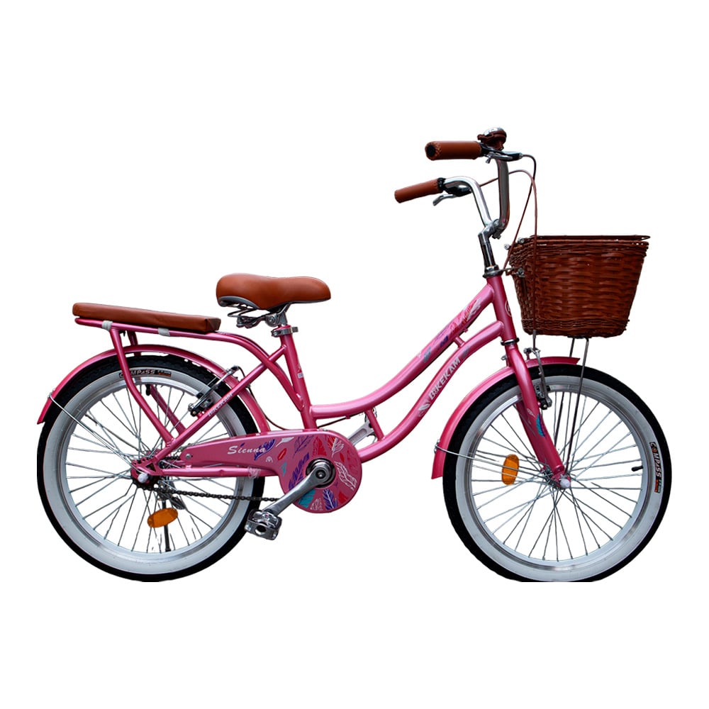 BICICLETA BOX VINTAGE ARO 20 - FUCSIA - 1