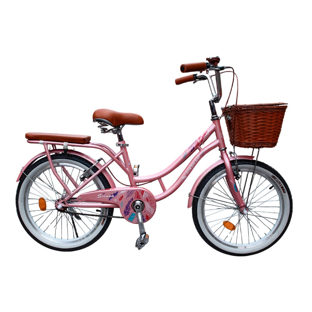BICICLETA BOX VINTAGE ARO 20 - ROSADO - 1