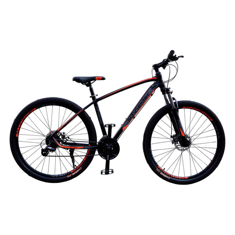 BICICLETA MTB SCHNEIDER ARO 29 - 1