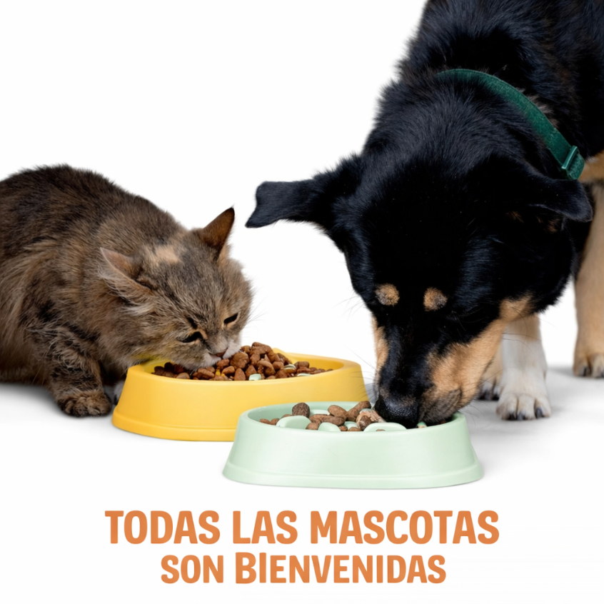 PLATO PERRO PACK X 2 COMEDERO ANTI-ANSIEDAD 1 LT ANKAFA - 5