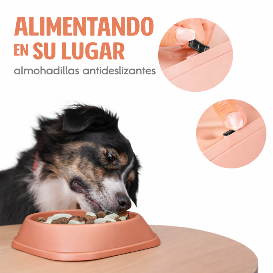 PLATO PERRO PACK X 2 COMEDERO ANTI-ANSIEDAD 1 LT ANKAFA - 6