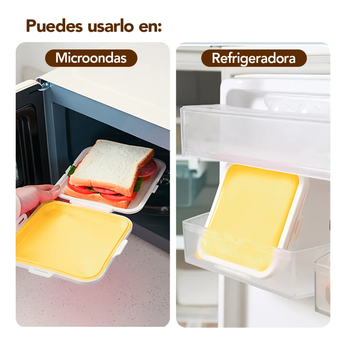 CAJA HERMÉTICA PARA SANDWICH – COLORES SURTIDOS - 6