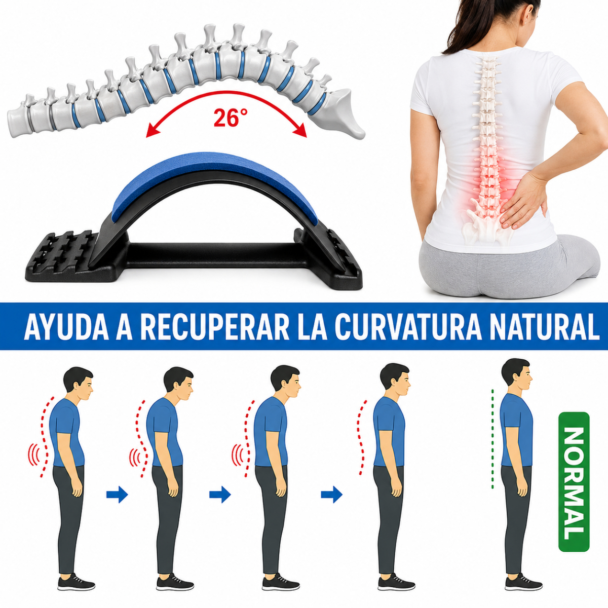 ESTIRADOR DE ESPALDA CON APOYO LUMBAR - 2