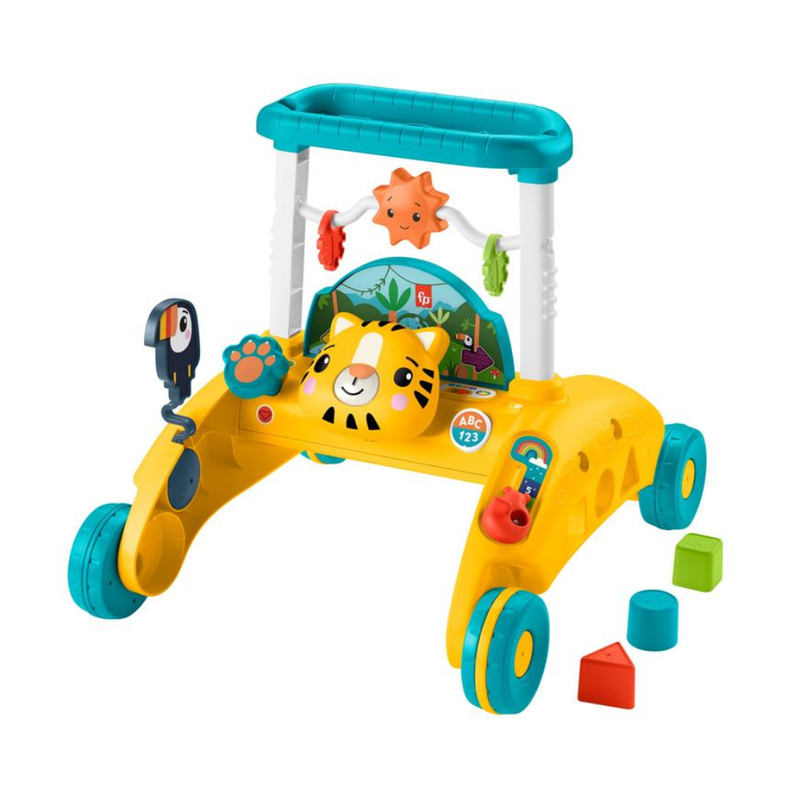 ANDADERA DOS LADOS FISHER PRICE PRIMEROS PASOS - 2