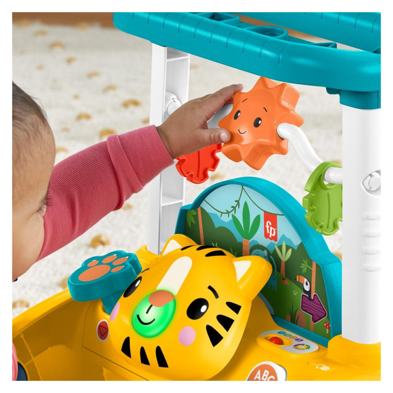 ANDADERA DOS LADOS FISHER PRICE PRIMEROS PASOS - 5