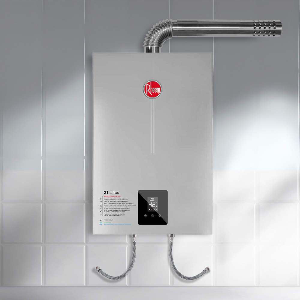 TERMA A GAS 21 L GAS NATURAL RHEEM TIRO FORZADO - 2