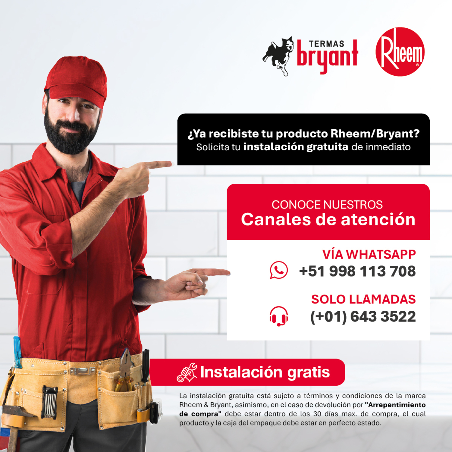 TERMA A GAS 21 L GAS NATURAL RHEEM TIRO FORZADO - 3