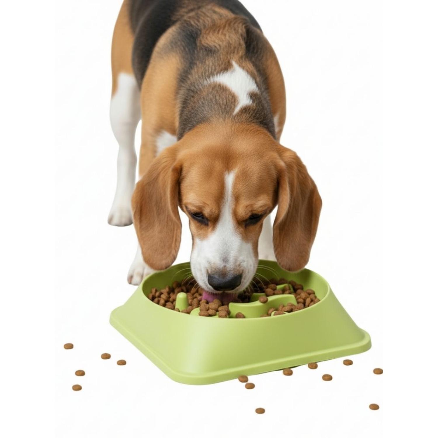 PLATO ANTIESTRÉS PARA MASCOTAS MEJORA DIGESTIÓN COMEDERO PERROS Y GATOS TAMAÑO M - 1